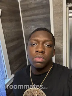 Roommate looking Columbus, OH, $800