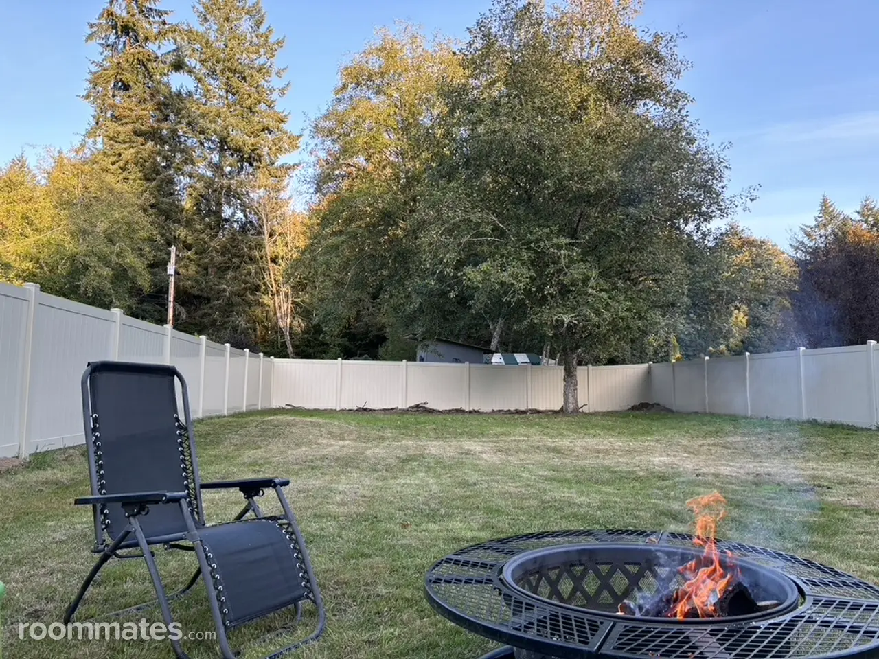 Profile photo 1 of 12