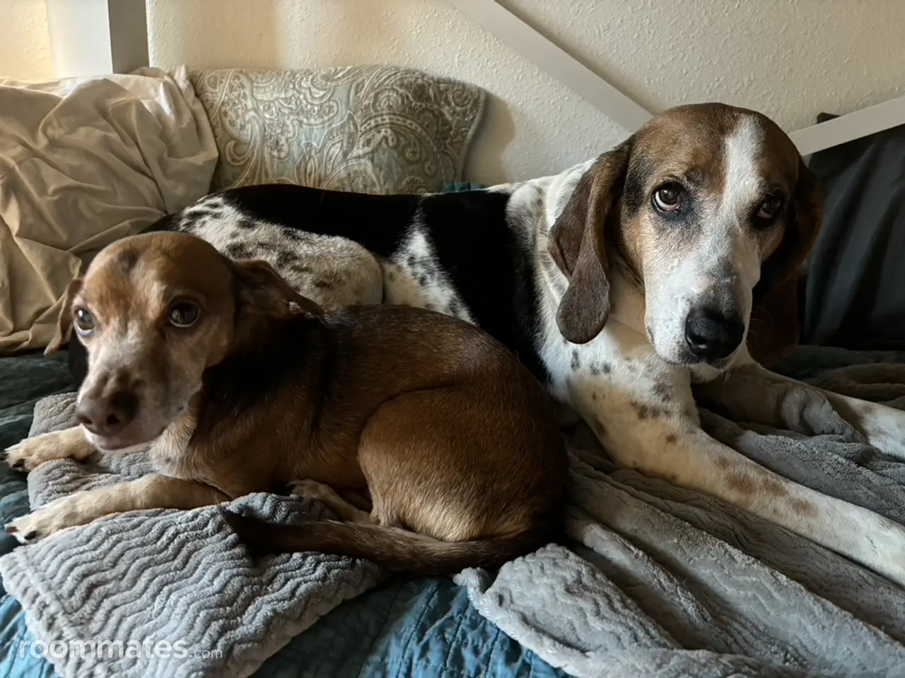 Profile photo 5 of 12