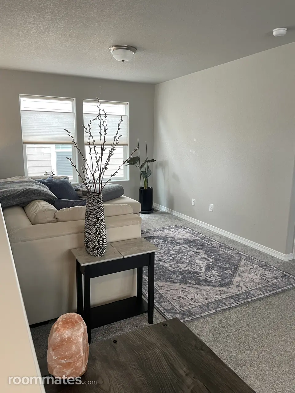 Profile photo 5 of 11