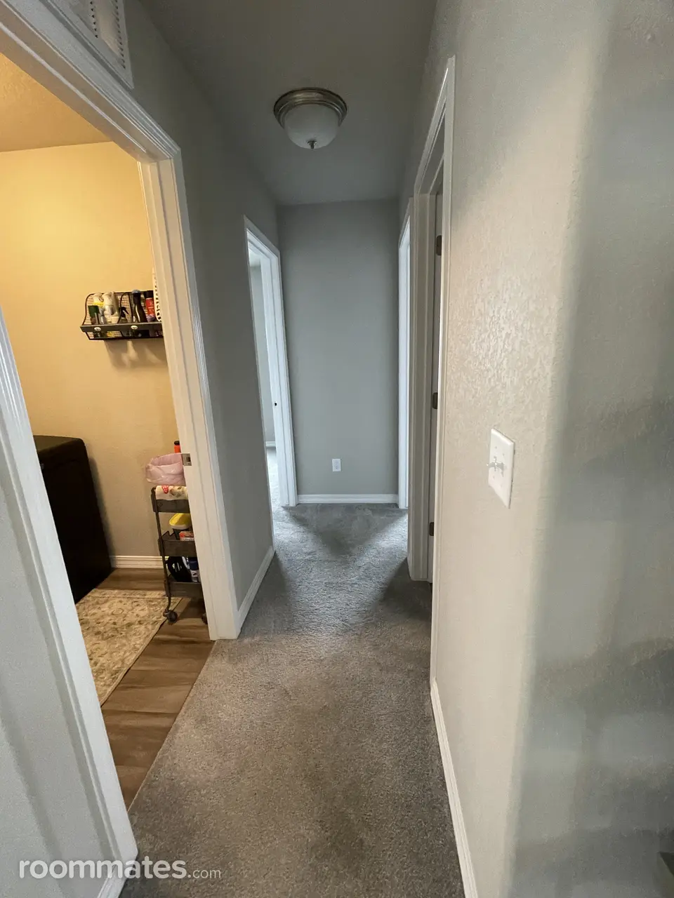 Profile photo 2 of 11