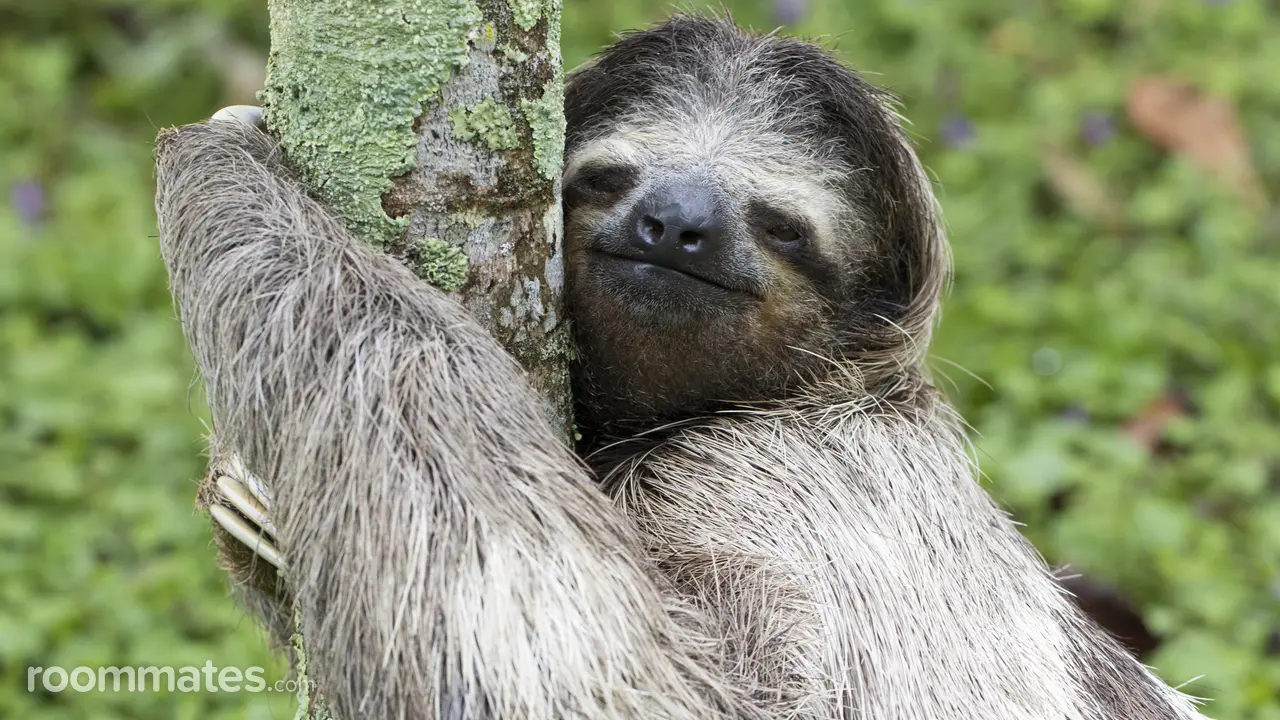 Profile photo 1 of 1