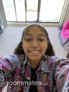 Roommate looking Asheville, NC, $1200