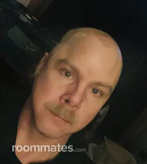 Roommate looking Tampa, FL, $800