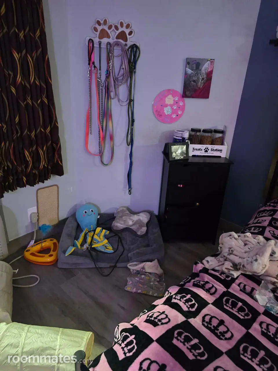 Profile photo 4 of 10