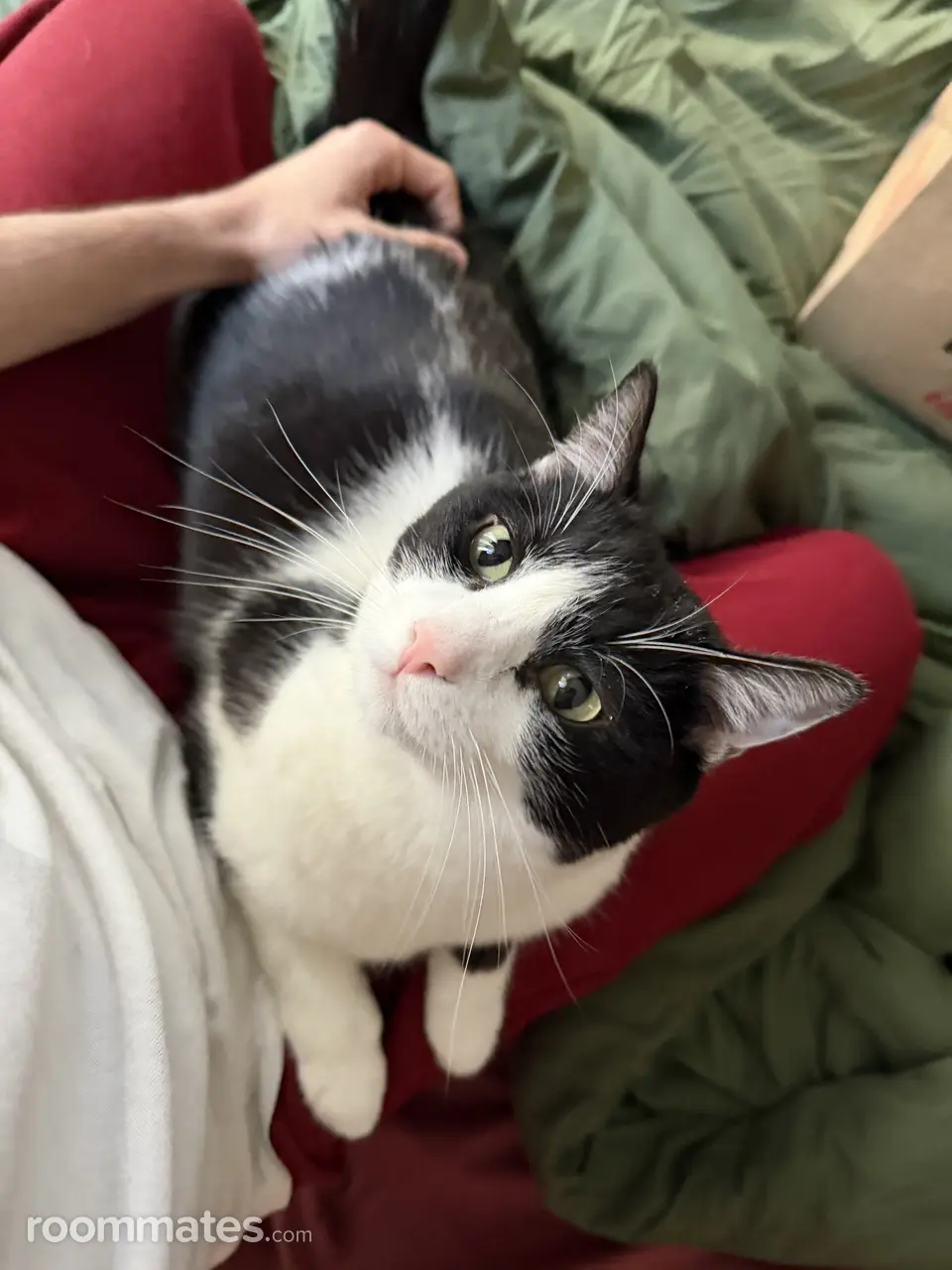 Profile photo 8 of 11