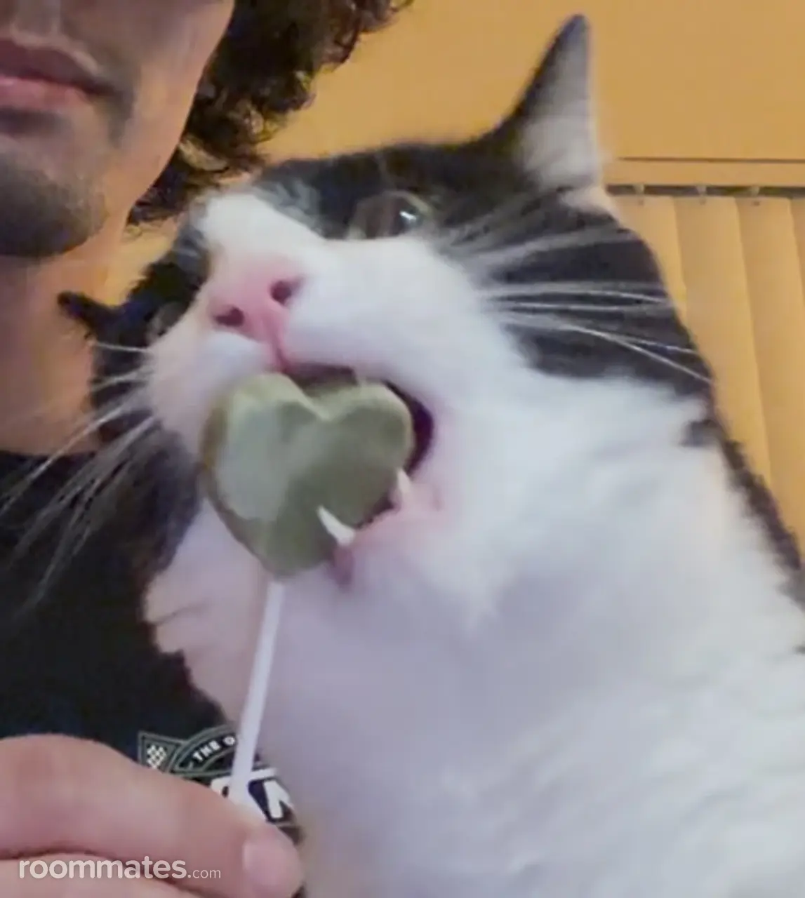 Profile photo 10 of 11