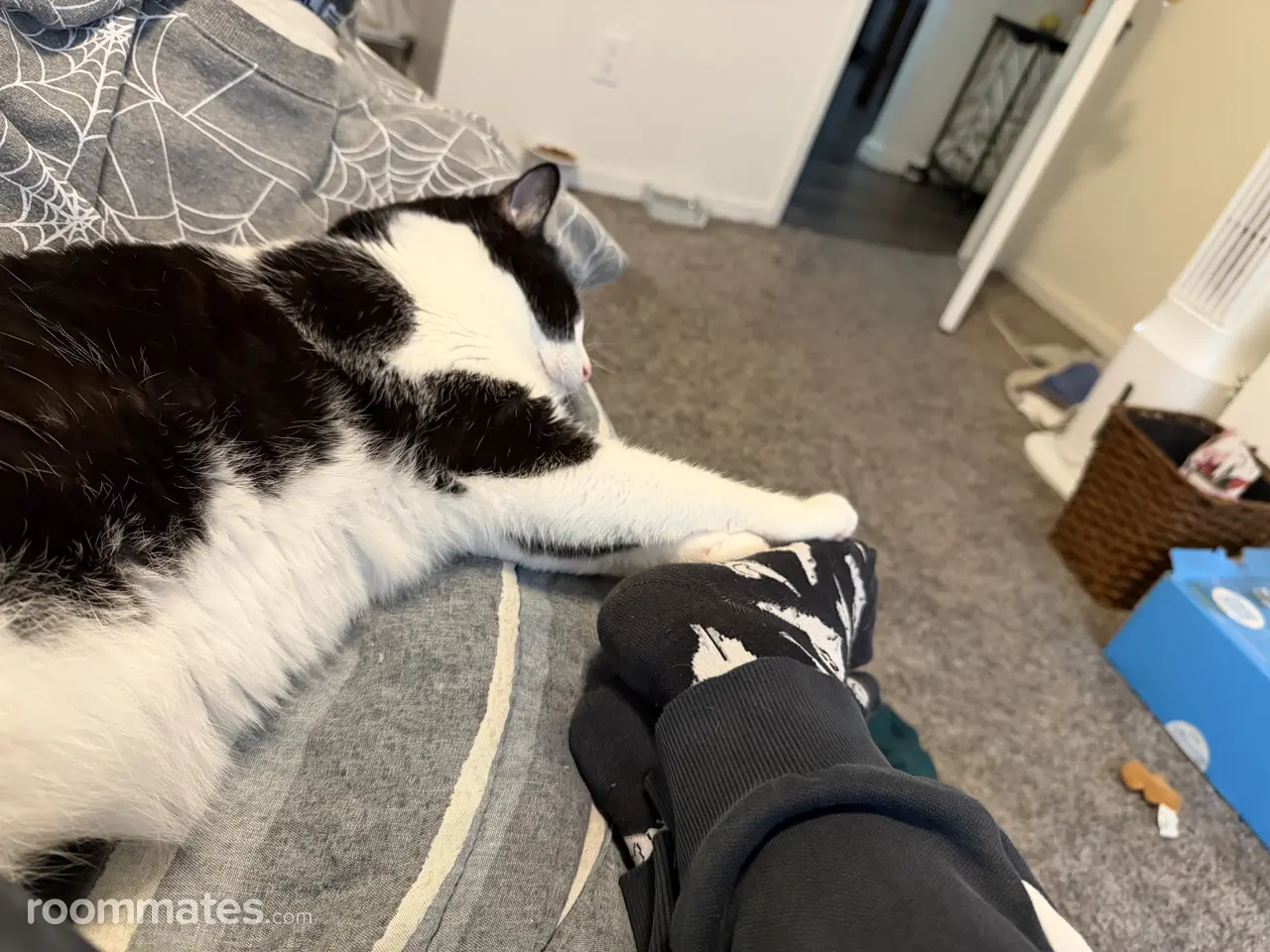 Profile photo 11 of 11