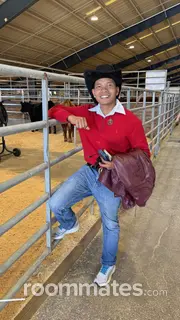 Roommate looking Kissimmee, FL, $600