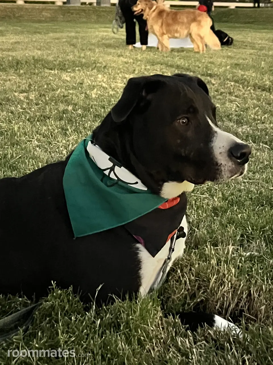 Profile photo 7 of 9