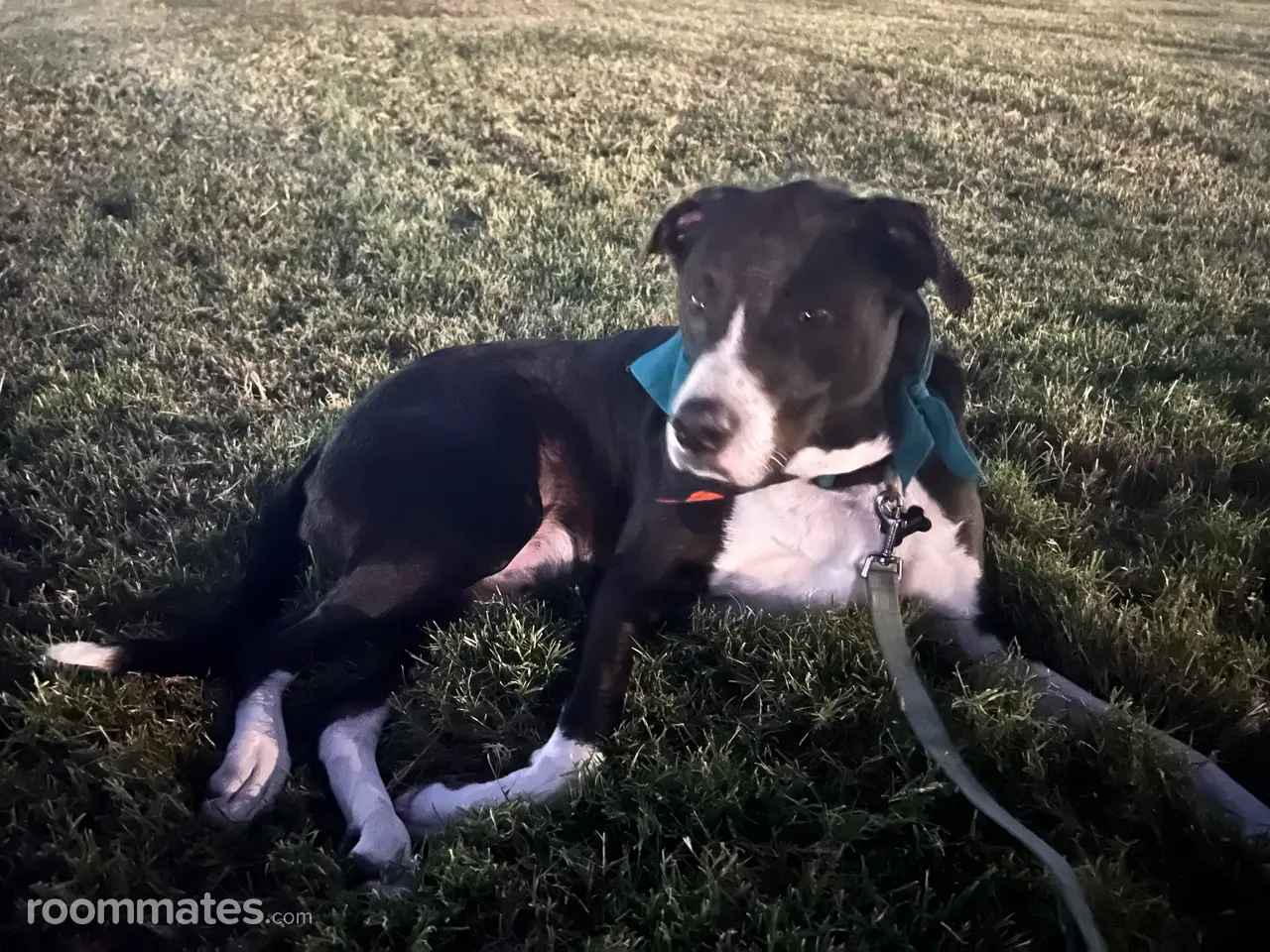 Profile photo 8 of 9