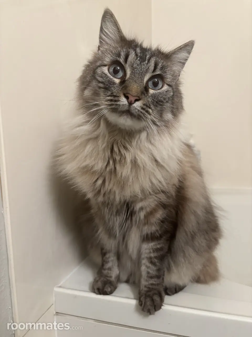 Profile photo 2 of 2