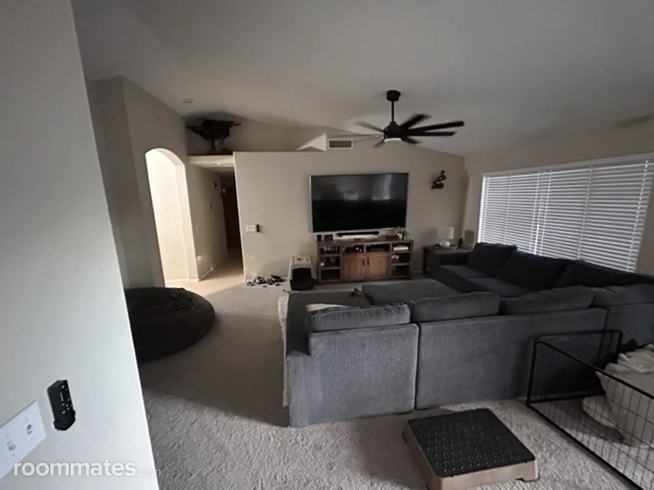 Profile photo 6 of 14