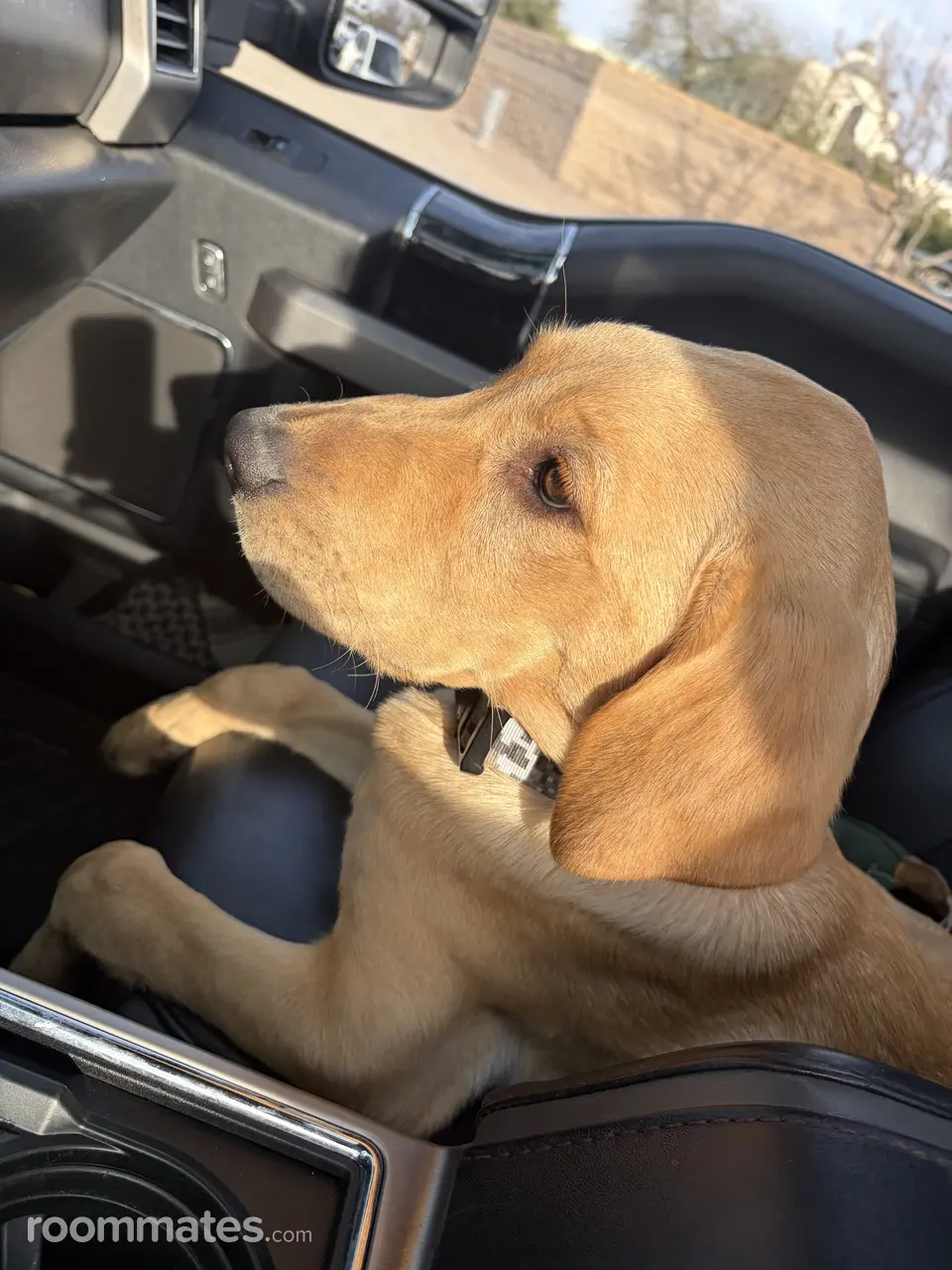 Profile photo 13 of 14