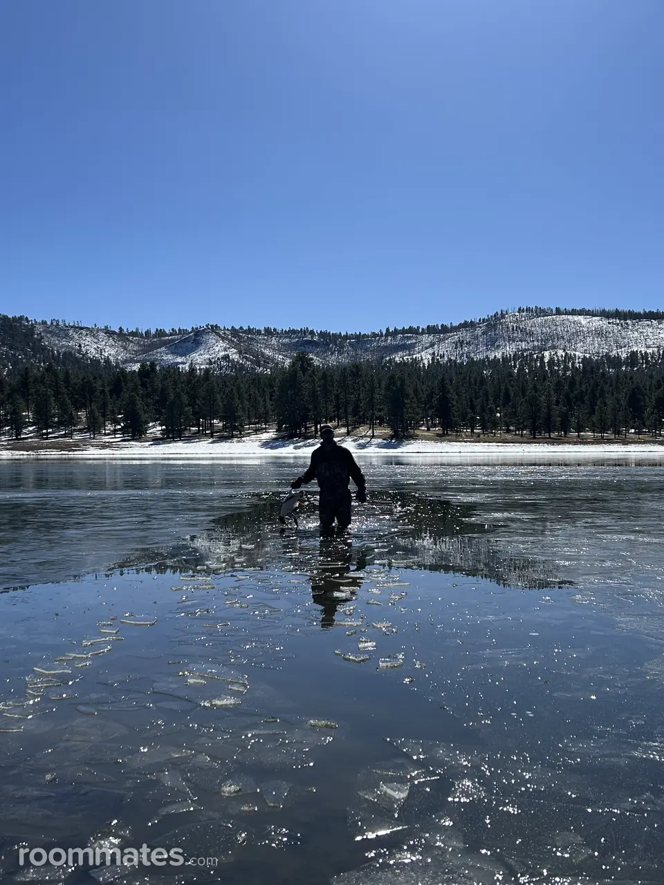 Profile photo 12 of 14