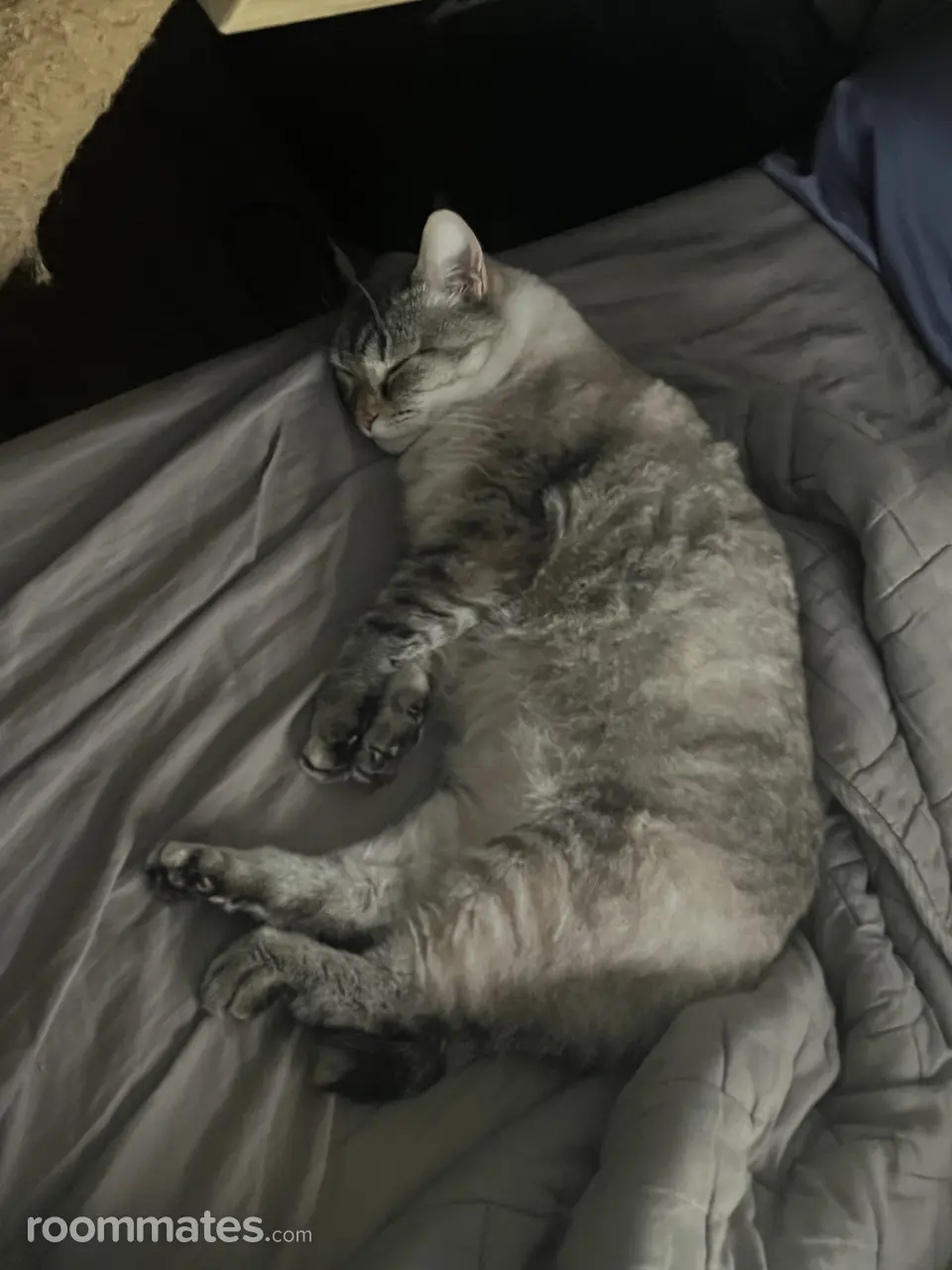 Profile photo 4 of 5