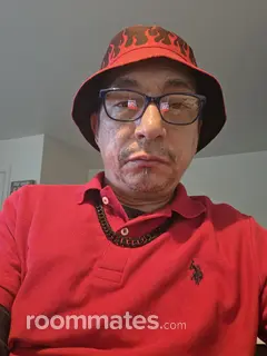 Roommate looking Milford, DE, $900