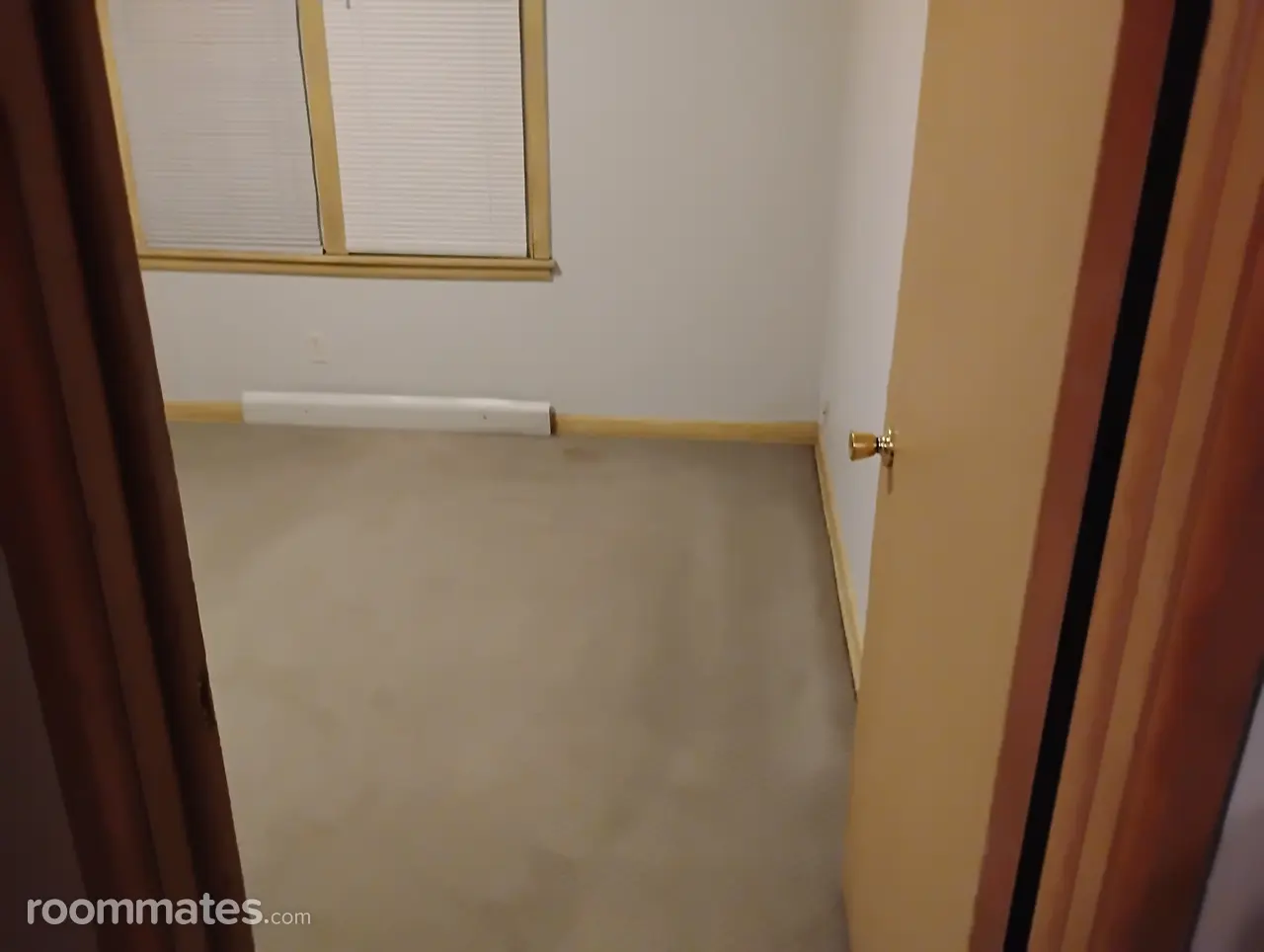 Profile photo 3 of 6