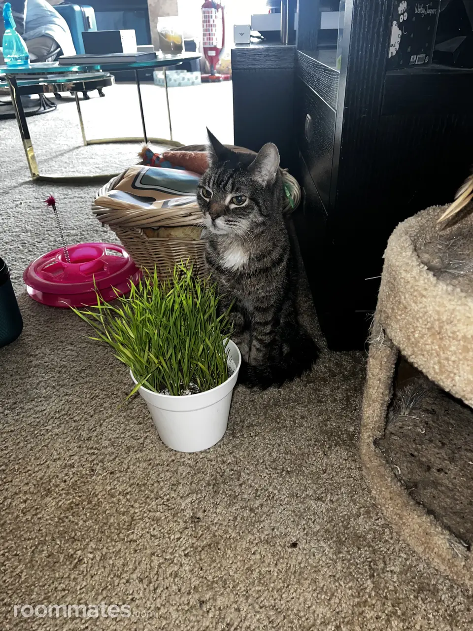 Profile photo 3 of 9