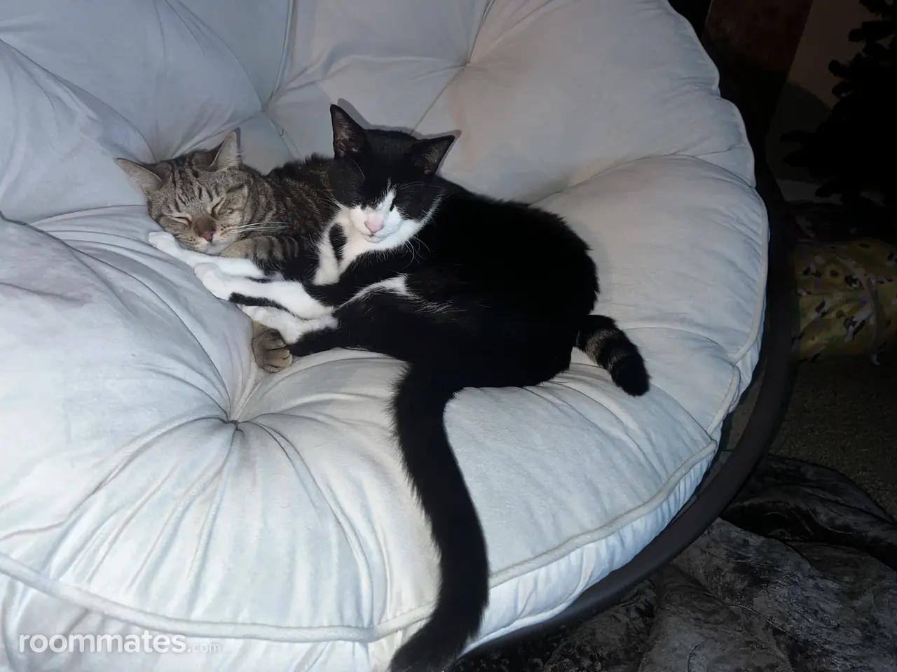 Profile photo 4 of 9