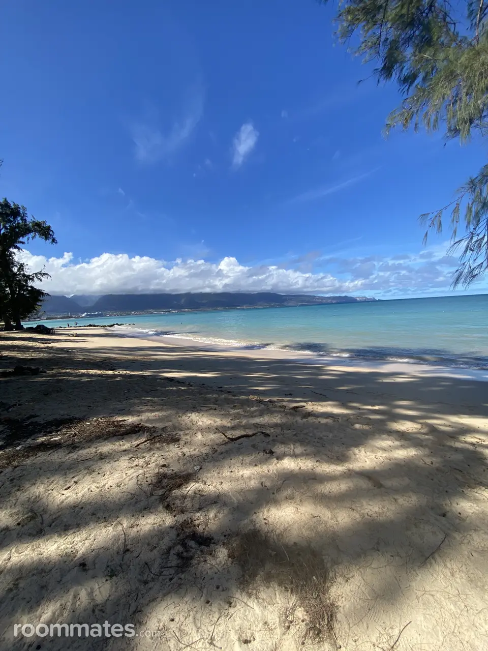 Profile photo 2 of 8