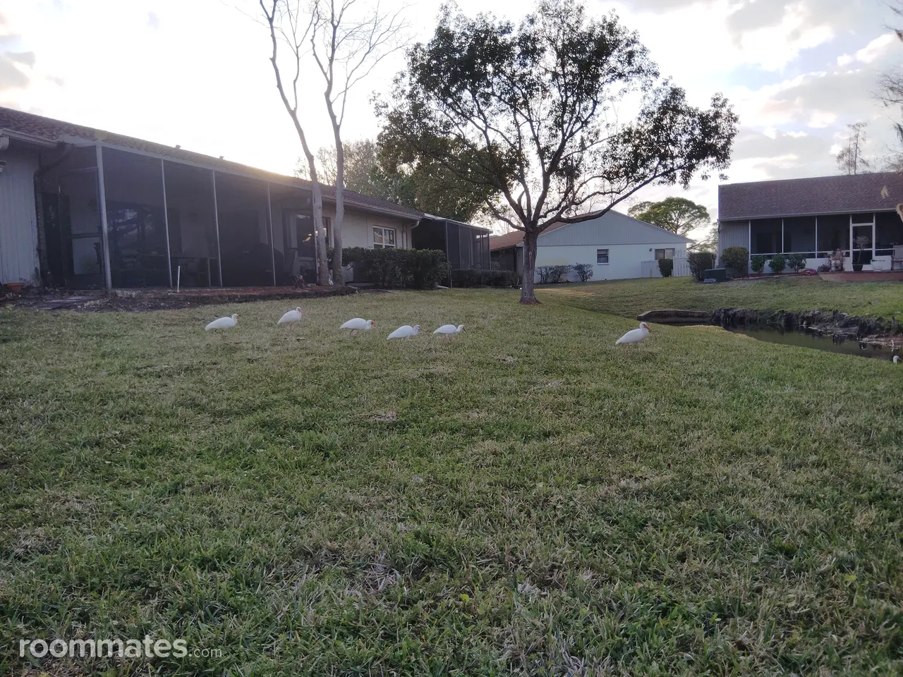 Profile photo 1 of 8