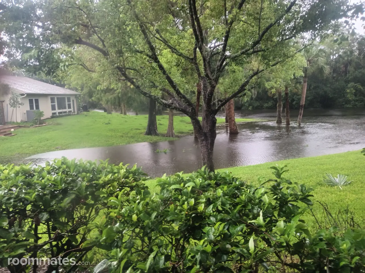 Profile photo 2 of 8