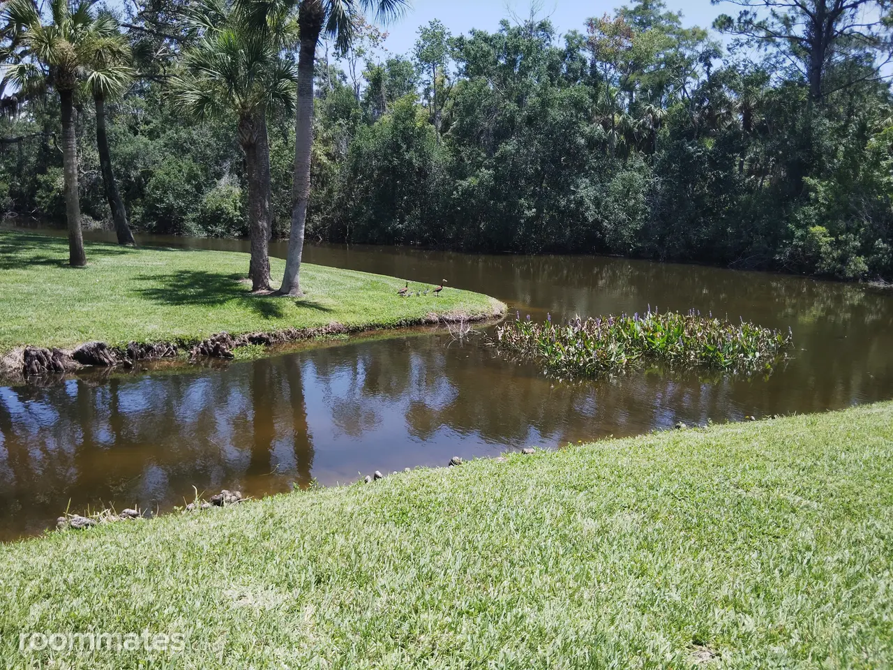 Profile photo 6 of 8