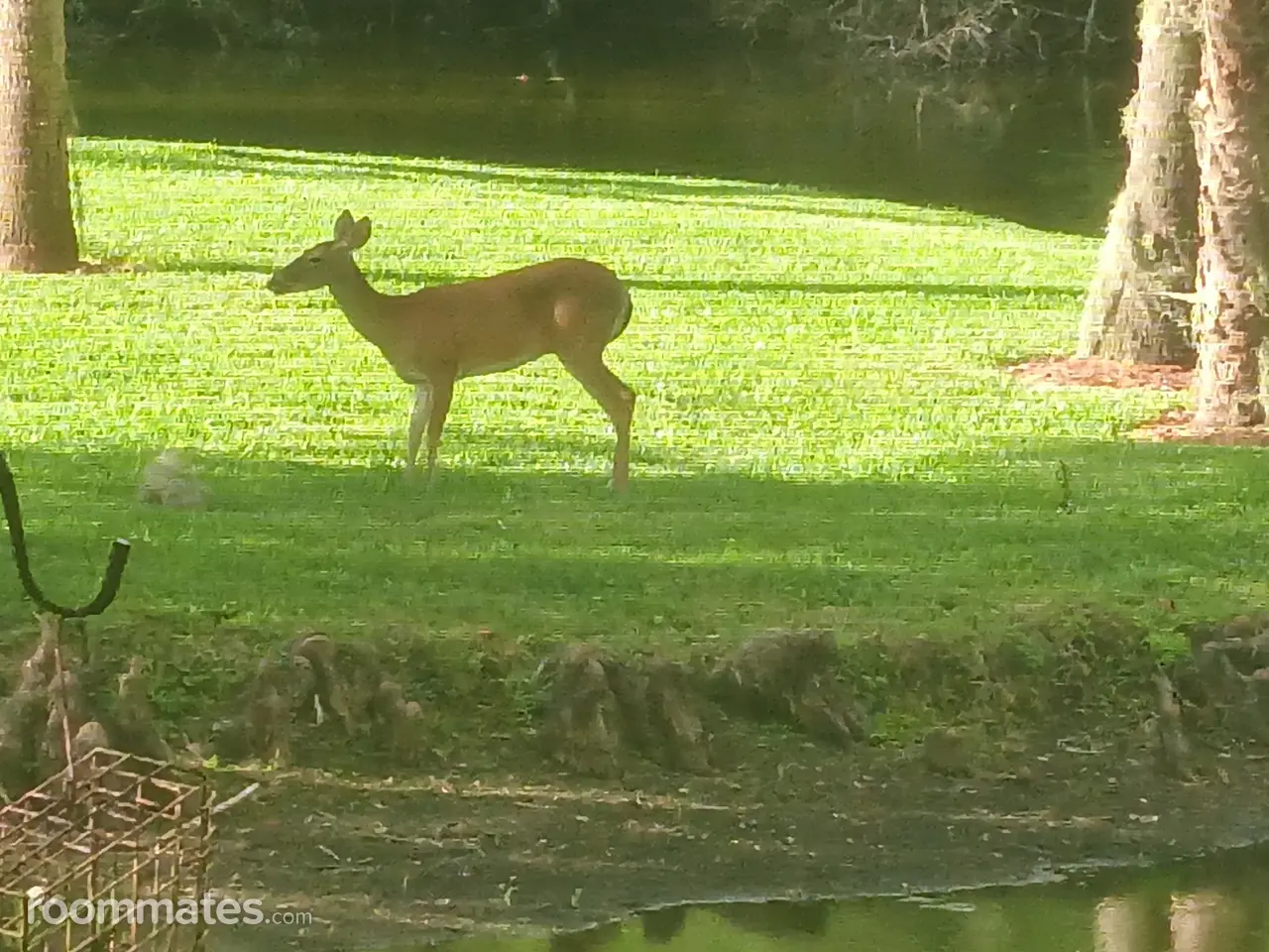 Profile photo 7 of 8