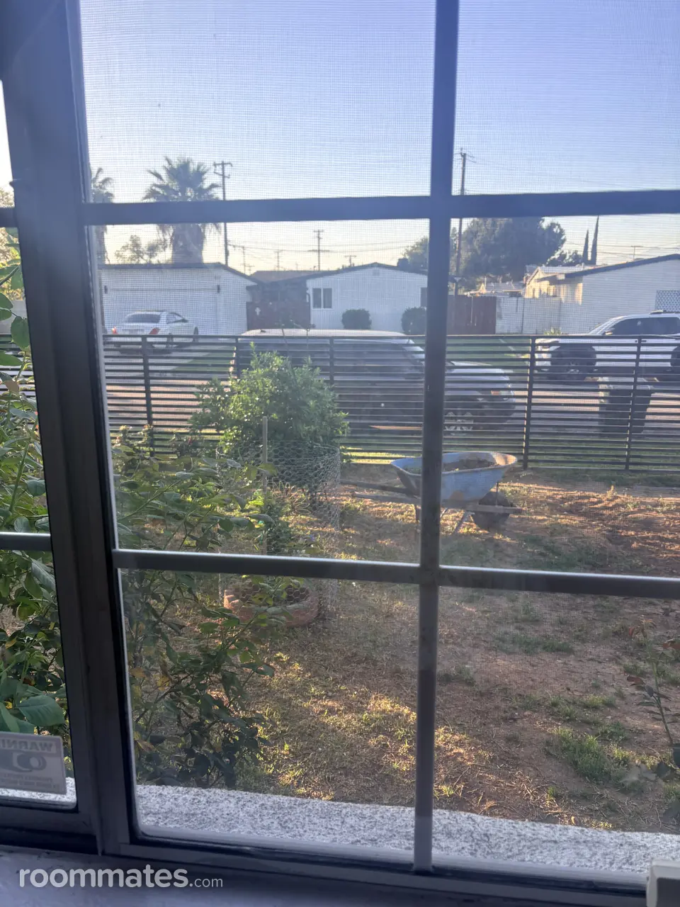 Profile photo 3 of 5