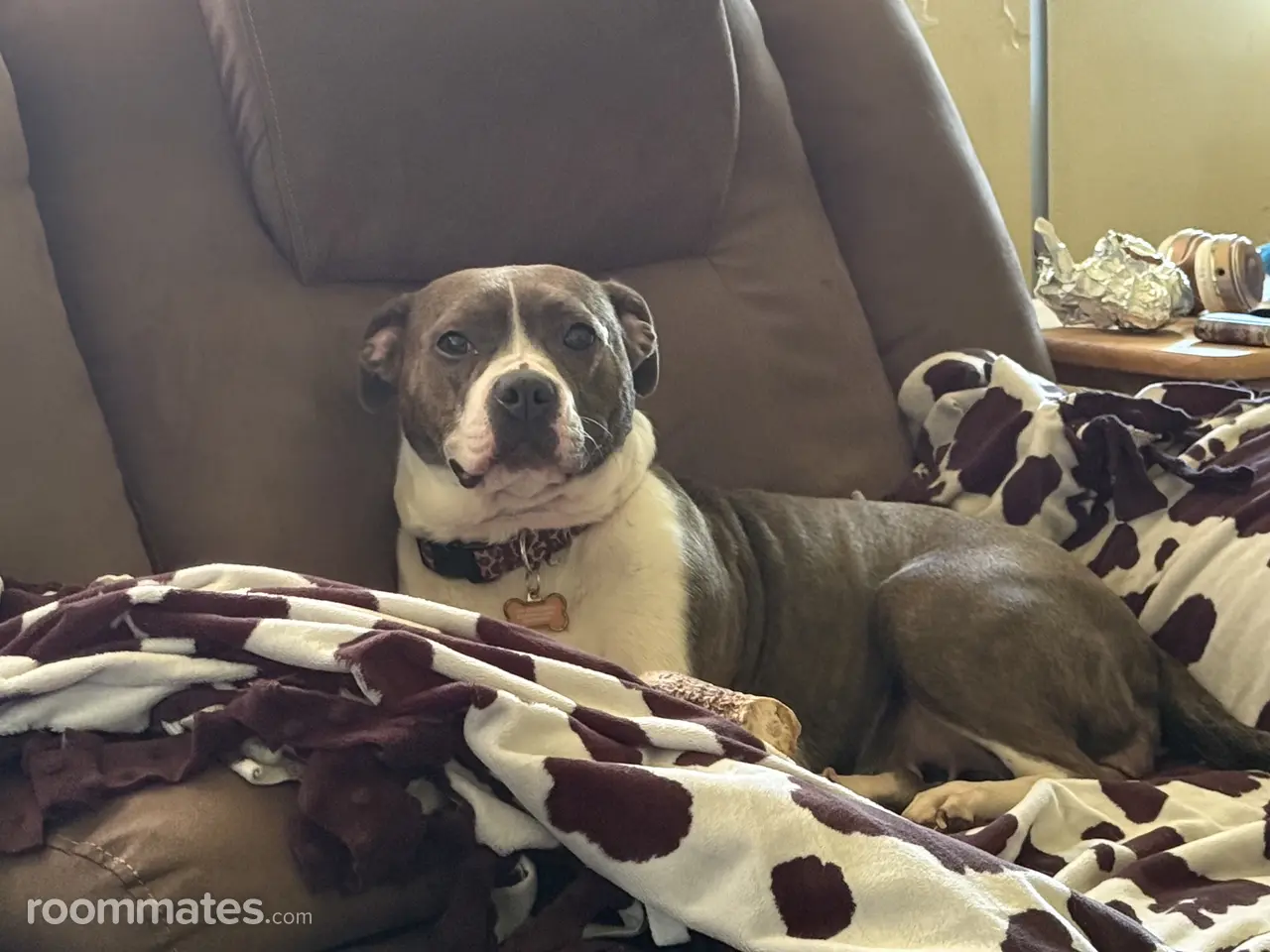 Profile photo 8 of 9