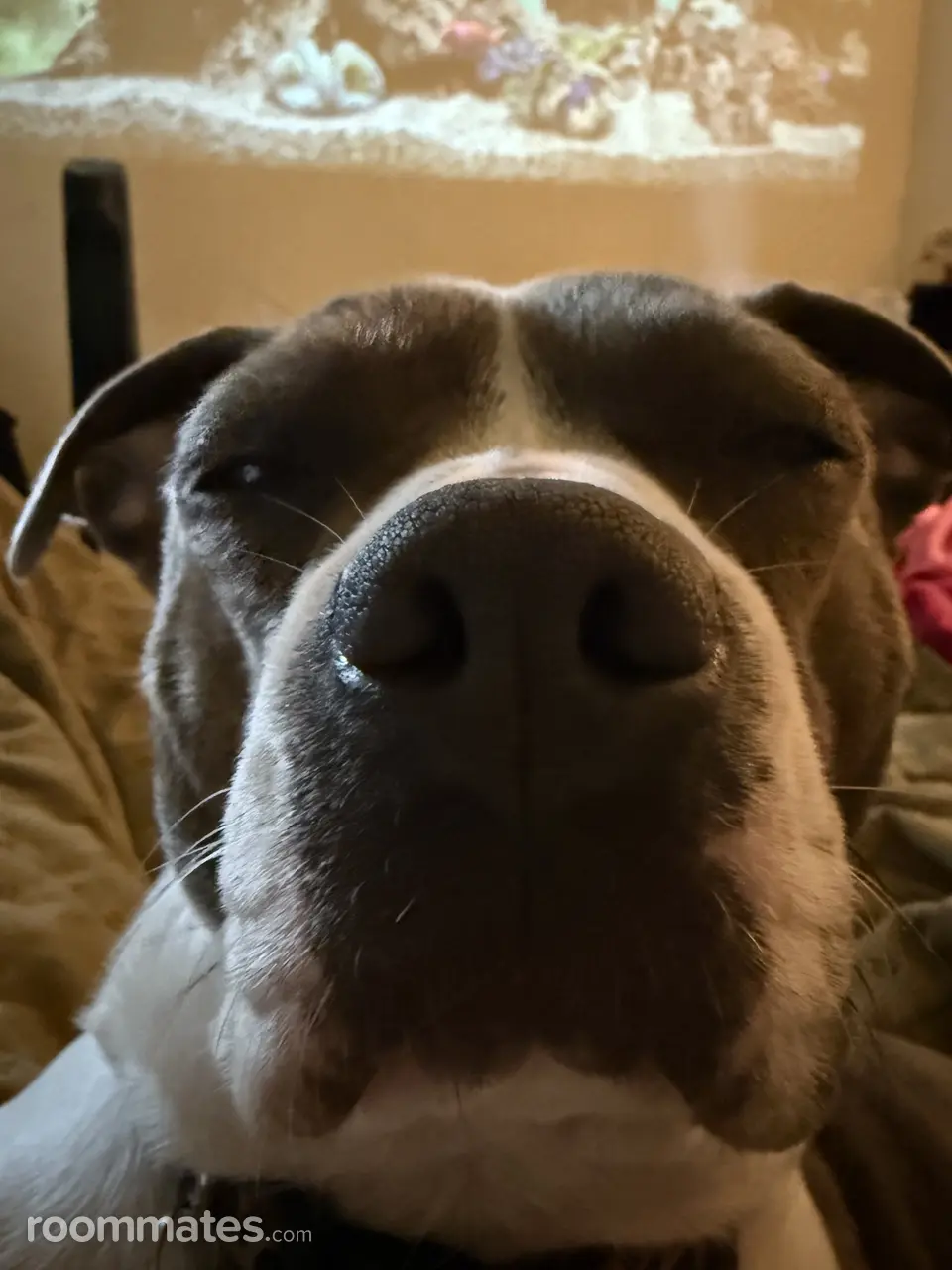 Profile photo 9 of 9