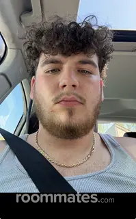 Roommate looking Columbus, OH, $800