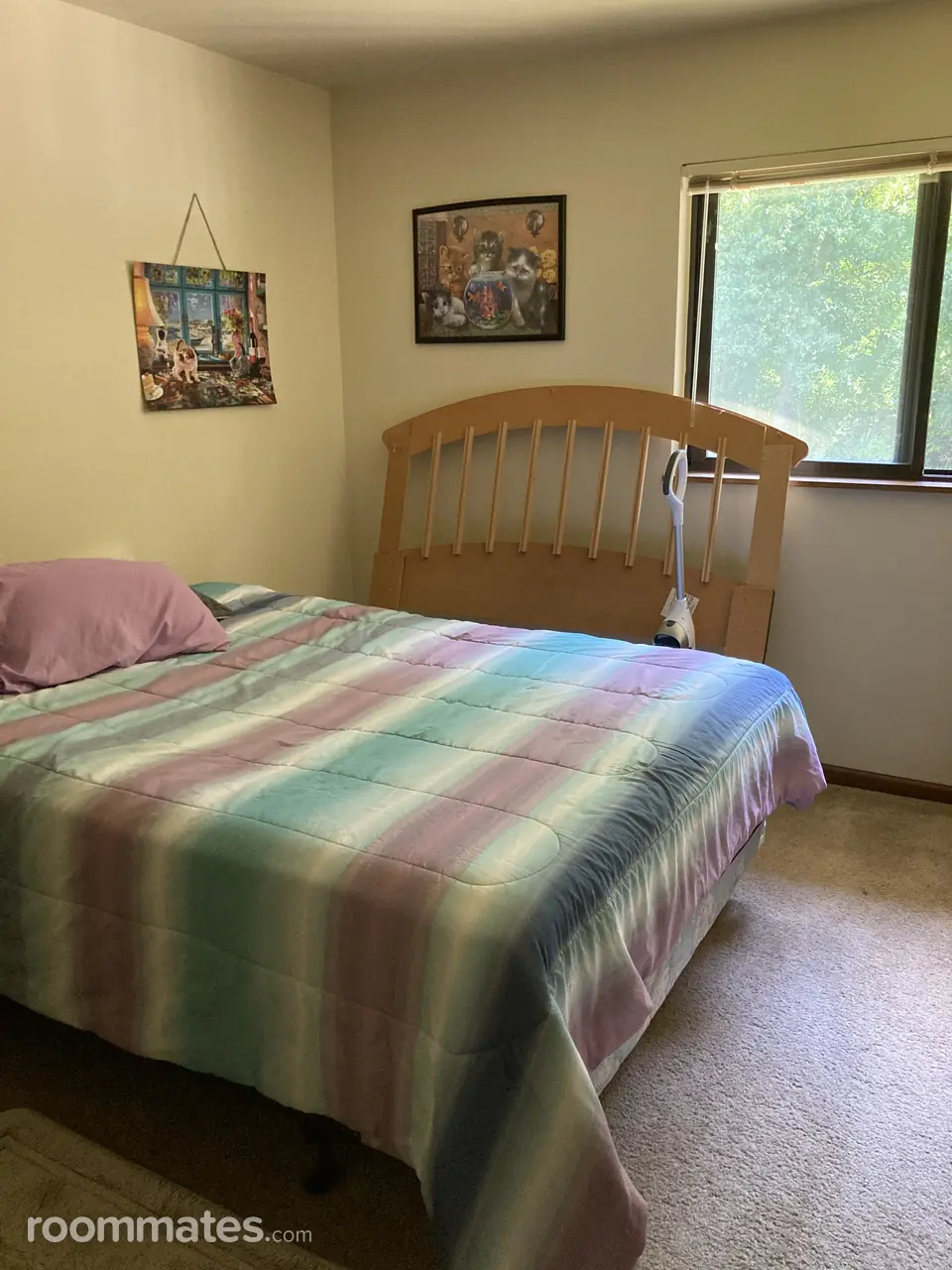 Profile photo 3 of 11