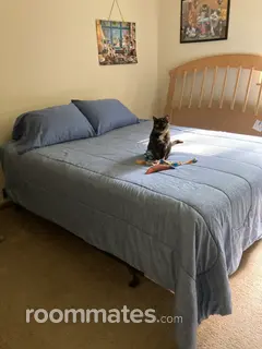 Room for rent in Battle Creek, MI $875, apartment