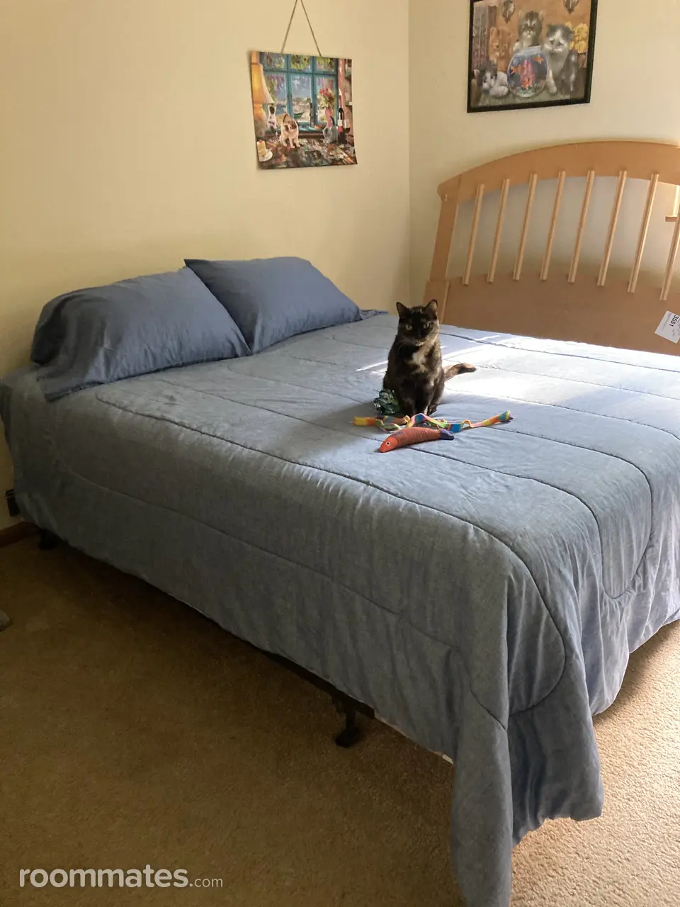 Profile photo 1 of 11