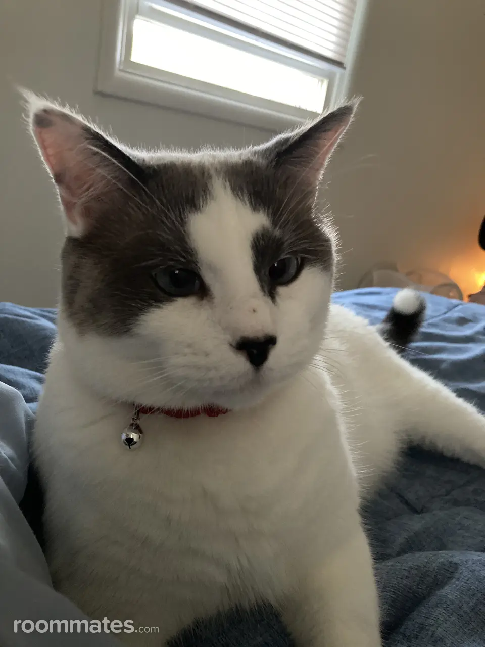 Profile photo 10 of 11