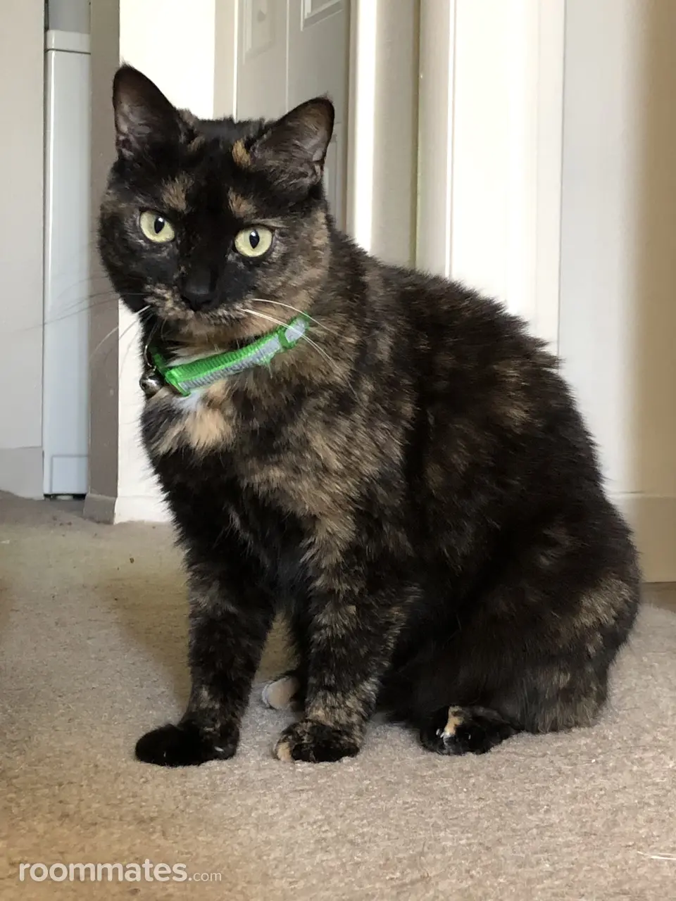 Profile photo 9 of 11