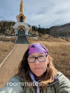 Roommate looking Fort Collins, CO, $1200