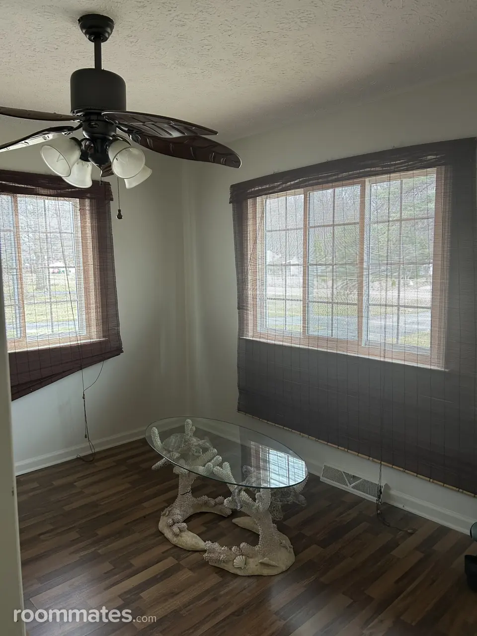 Profile photo 7 of 21