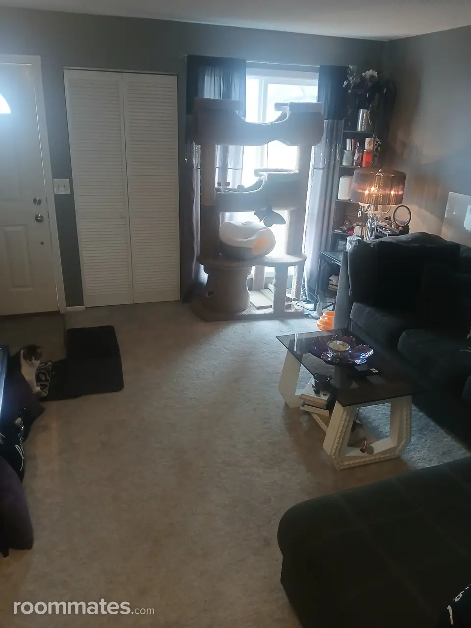 Profile photo 6 of 20