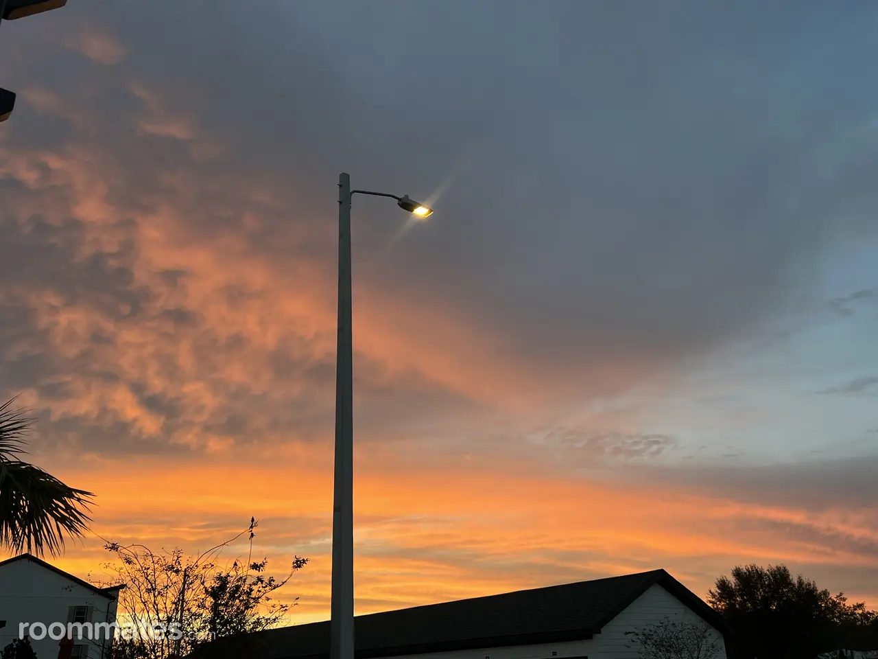 Profile photo 11 of 20