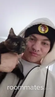 Roommate looking Pensacola, FL, $800