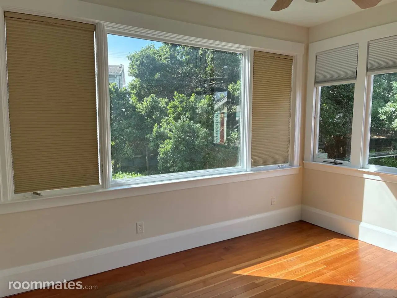 Profile photo 4 of 11