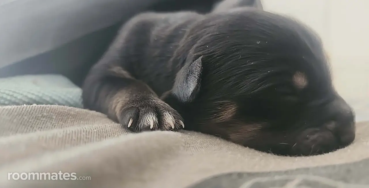 Profile photo 7 of 7