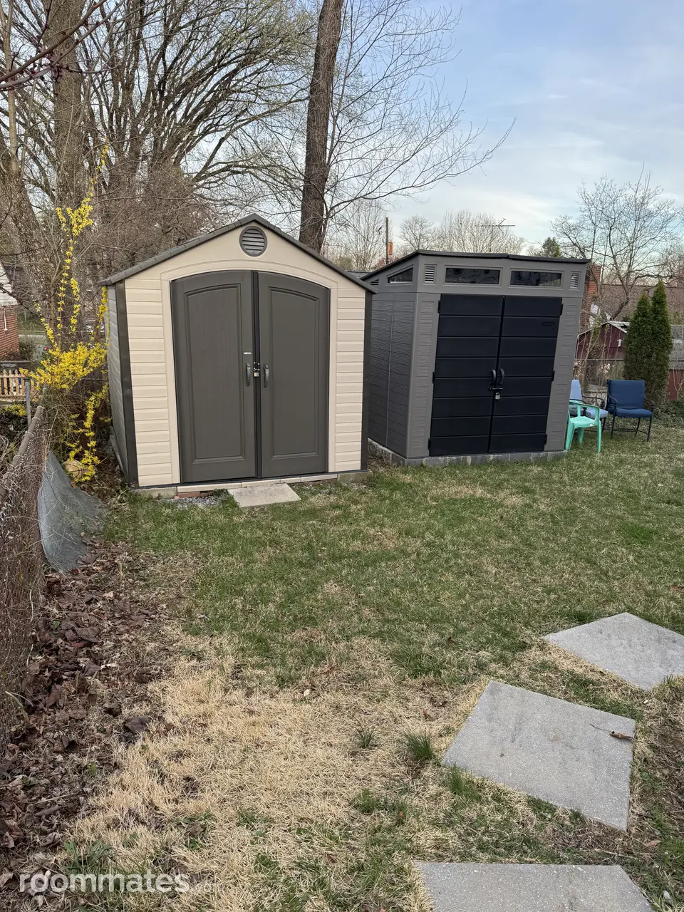 Profile photo 10 of 11