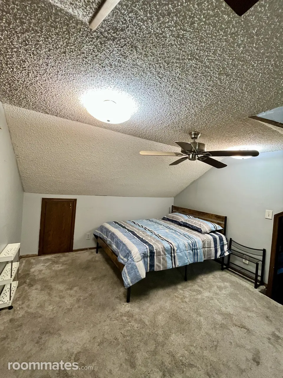 Profile photo 4 of 11