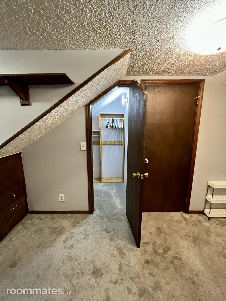 Profile photo 5 of 11