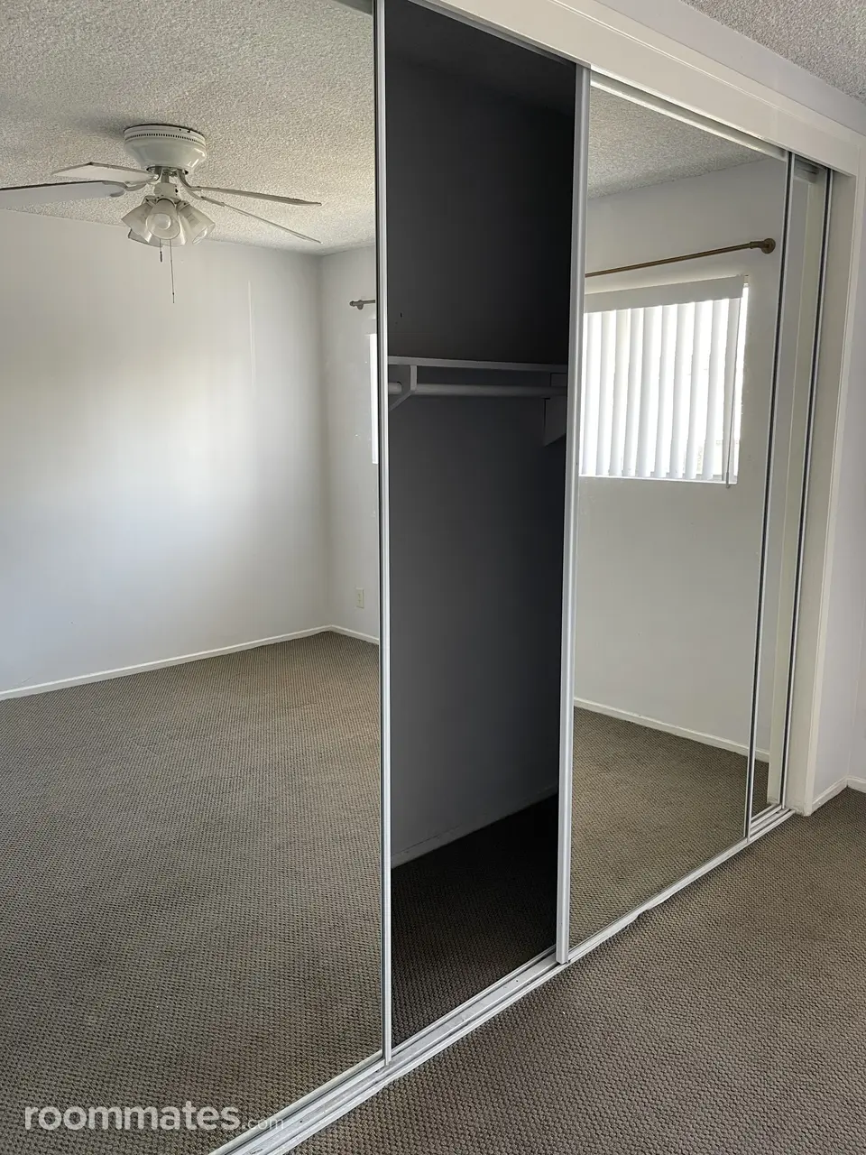 Profile photo 10 of 11