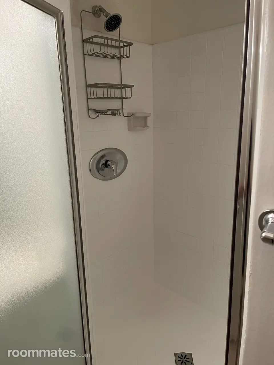 Profile photo 7 of 11